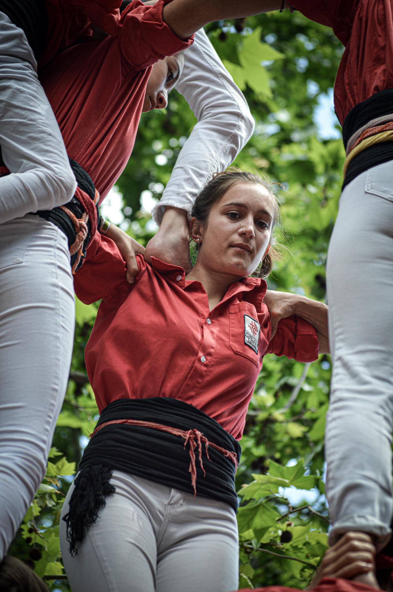 DSC_0334