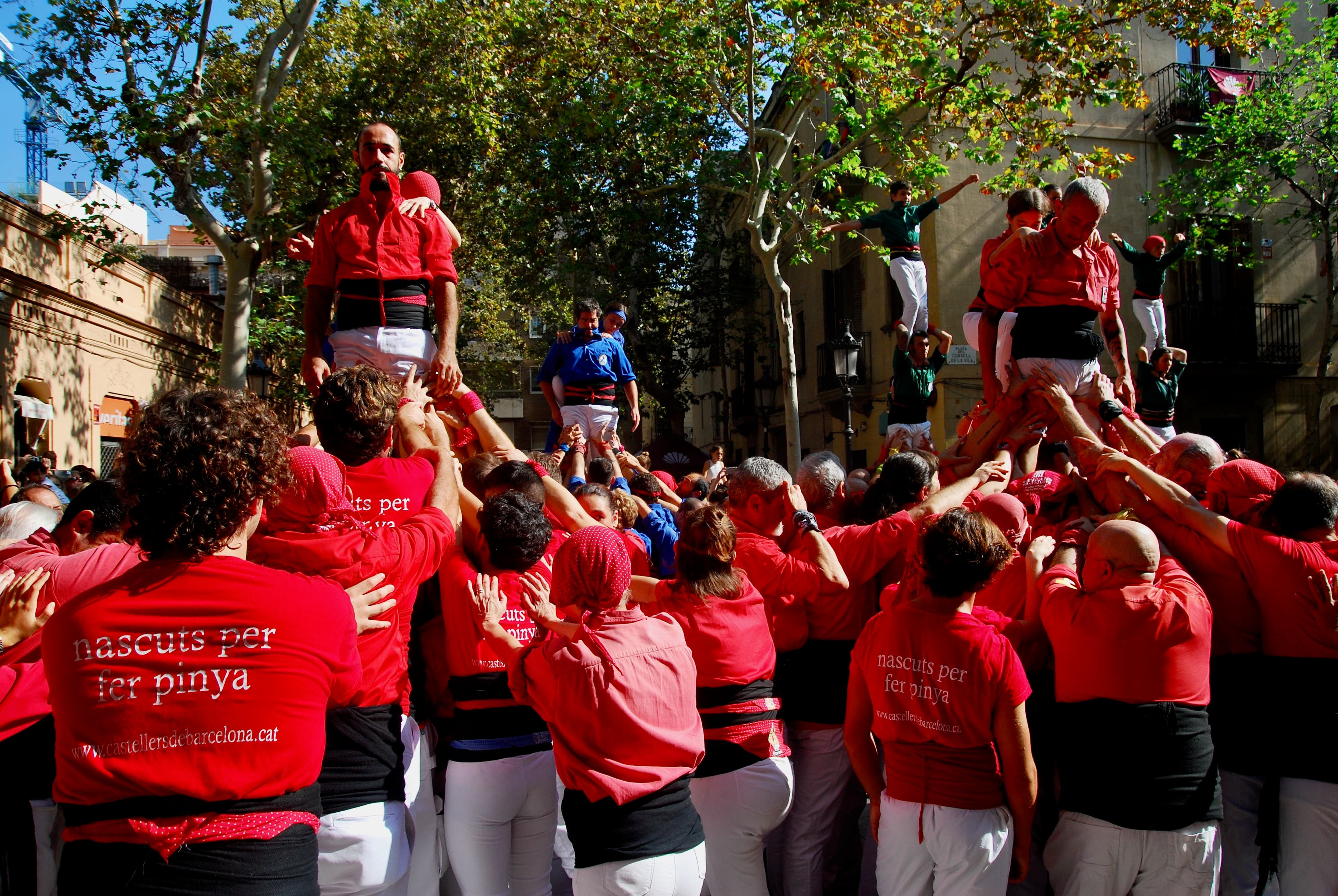 Sarrià - 8 d'octubre de 2023 (Ignasi Arauz) - 9