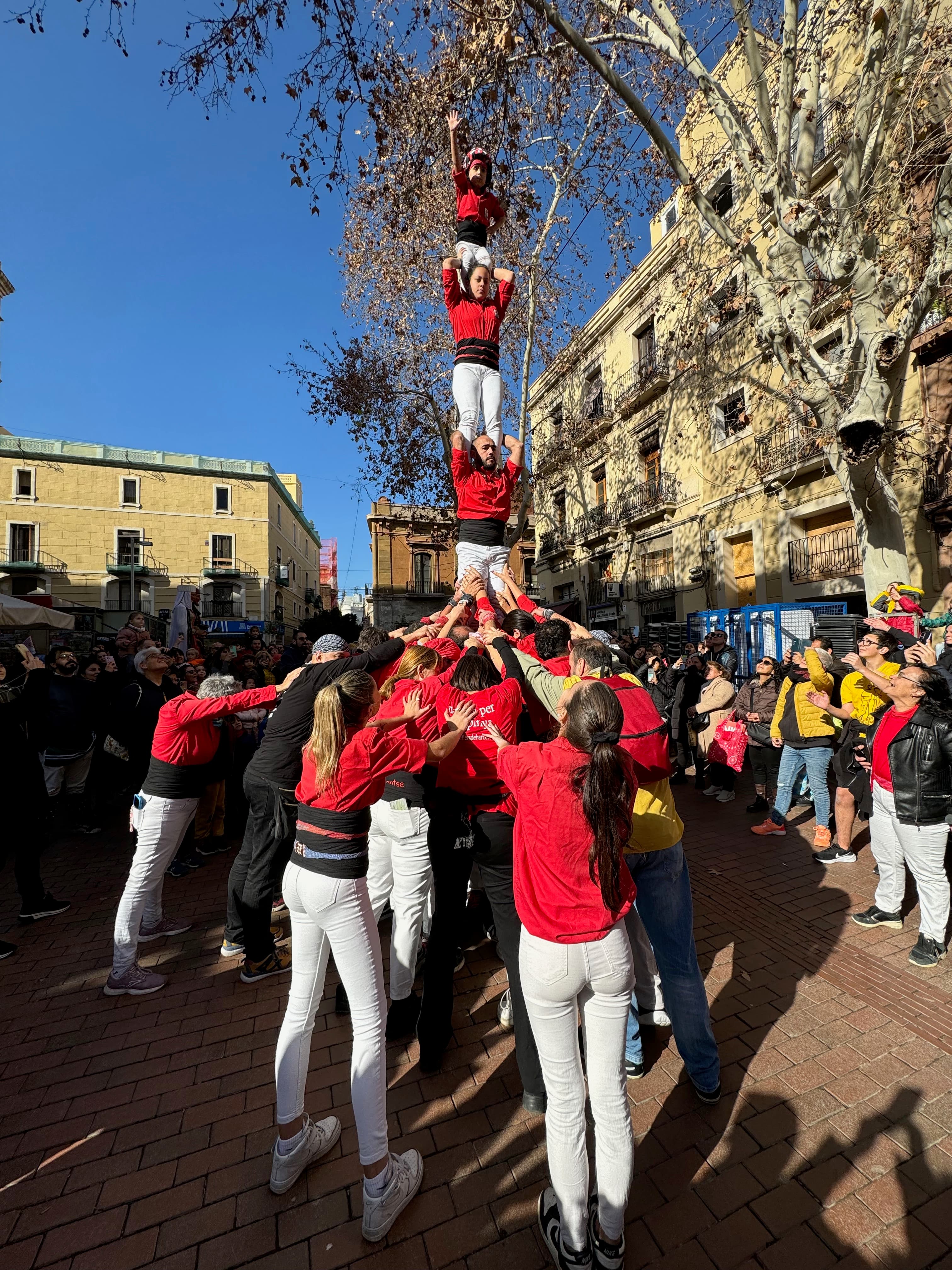 Porkada del Clot (Ignasi Arauz) - 20 de gener de 2024 - 9