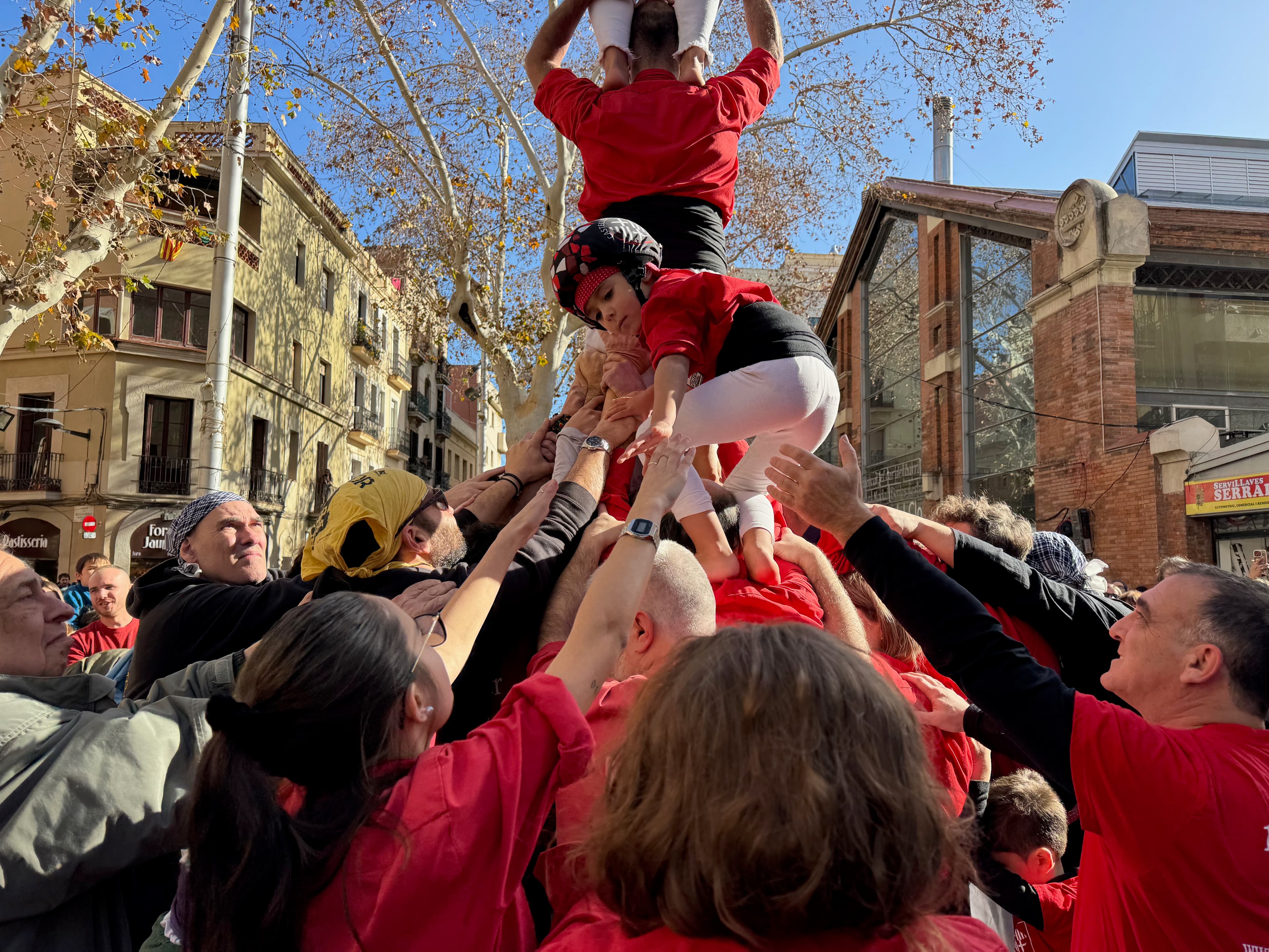 Porkada del Clot (Ignasi Arauz) - 20 de gener de 2024 - 16