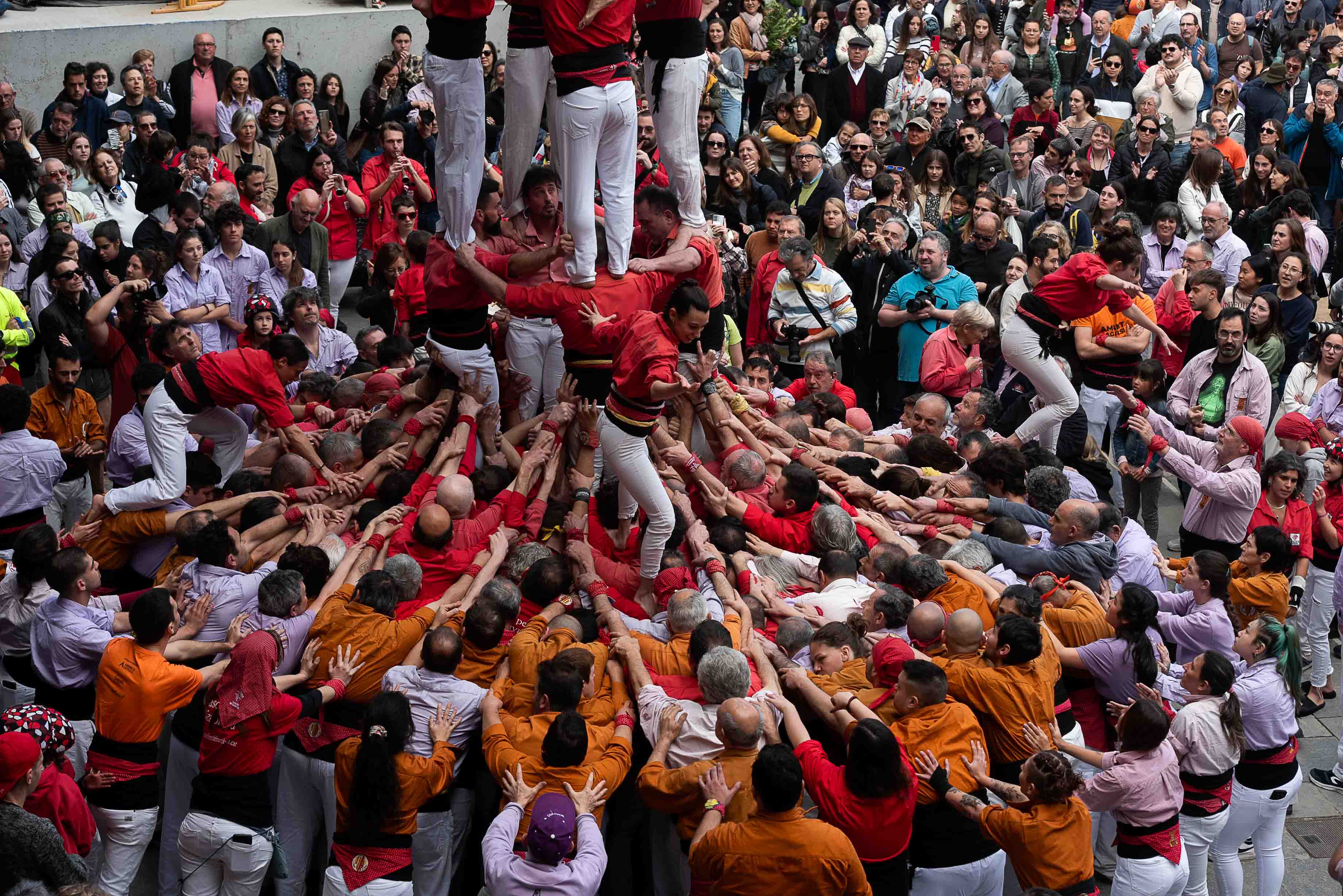 Vic_Mercat Ram - @tomas.cajueiro-13