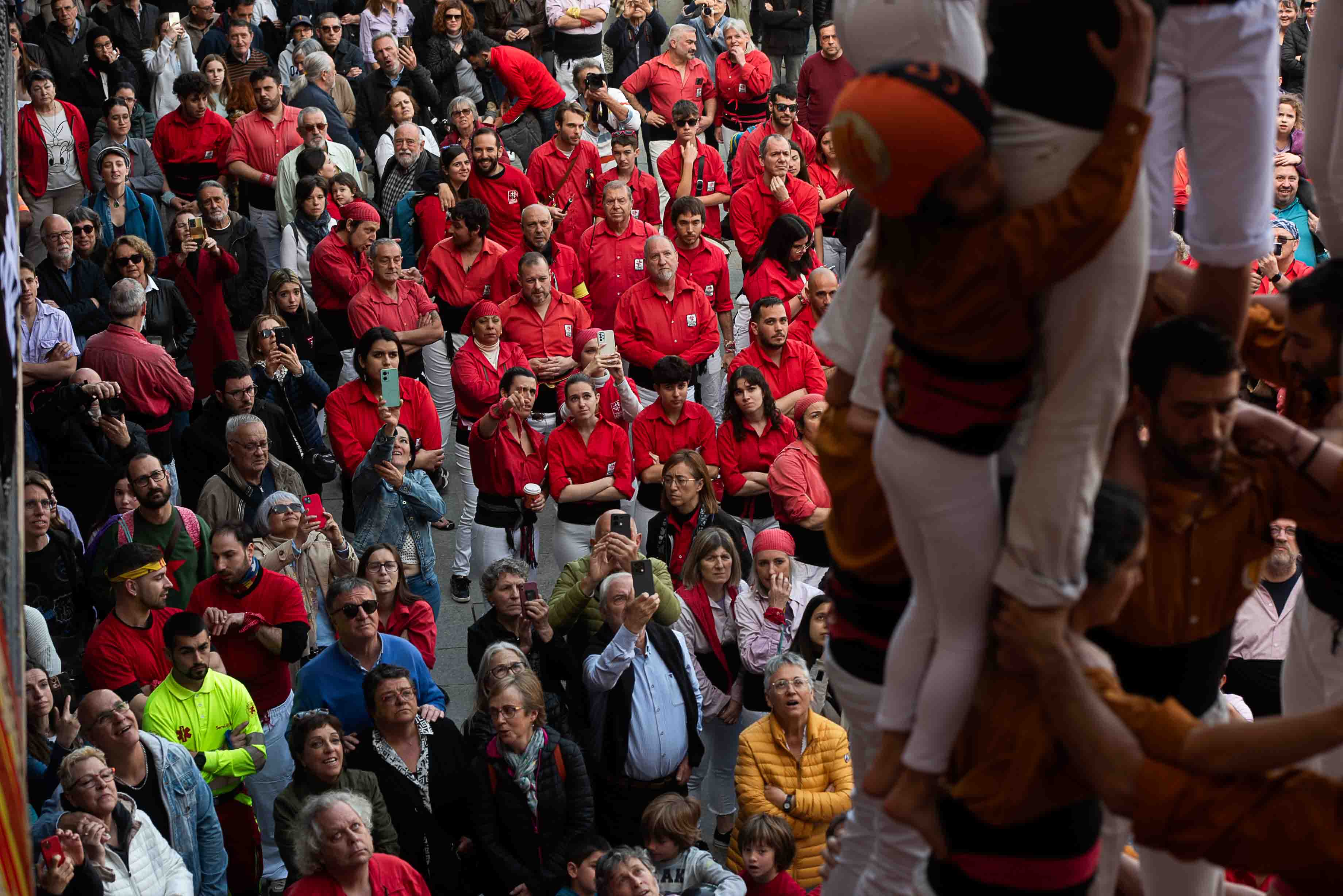 Vic_Mercat Ram - @tomas.cajueiro-7