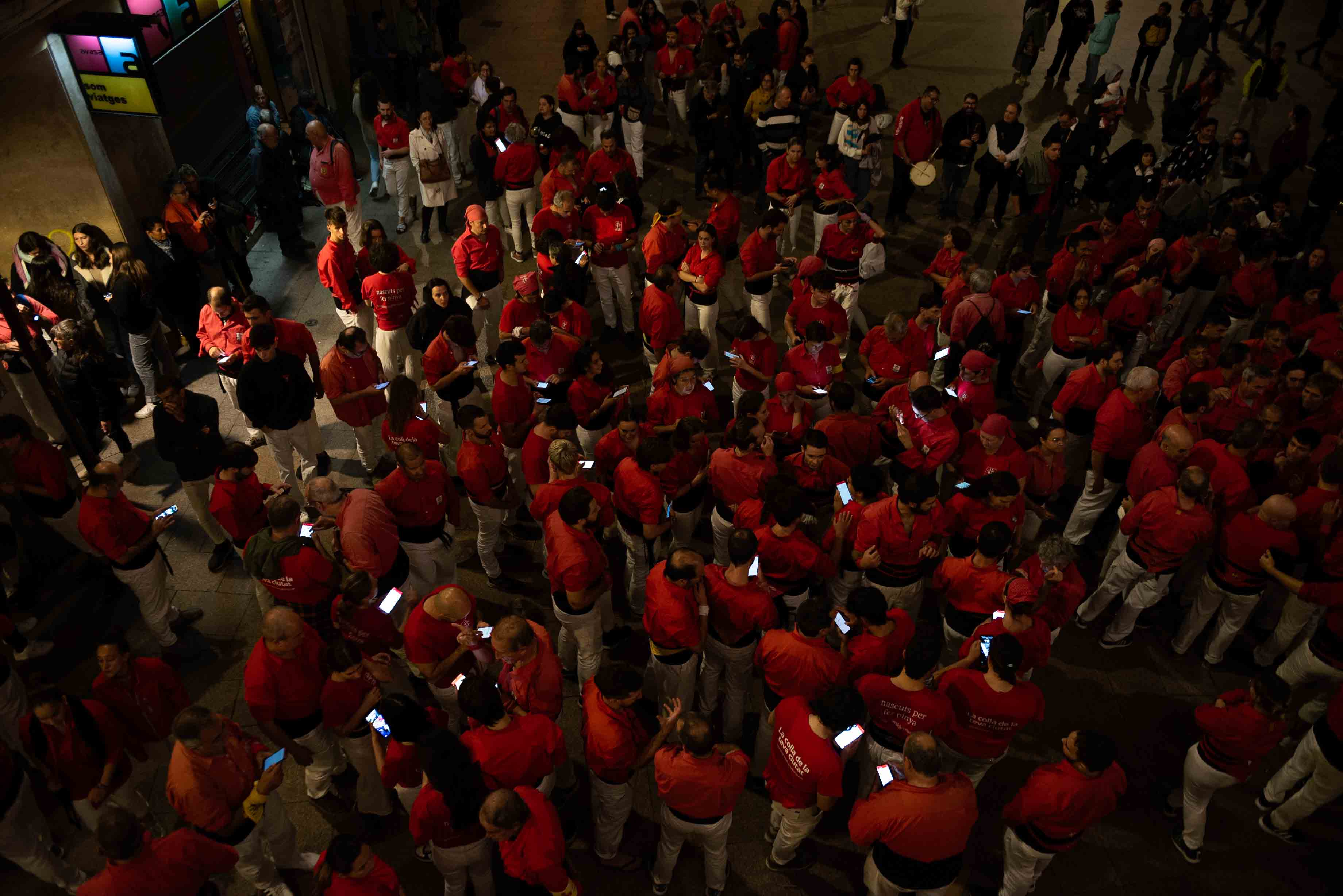 Roser (@tomas.cajueiro)23