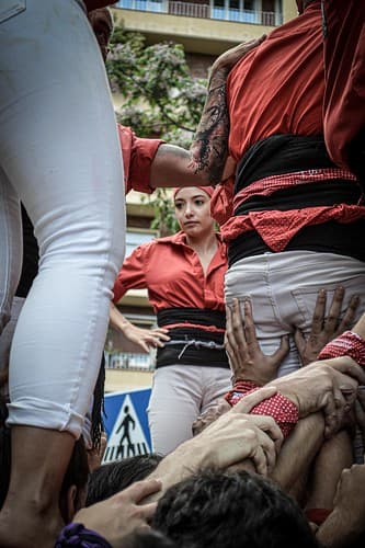 DSC_0287
