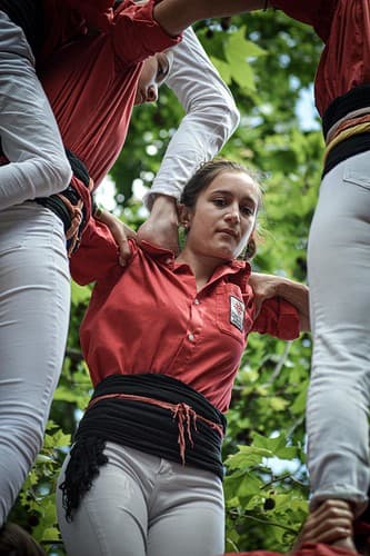 DSC_0334