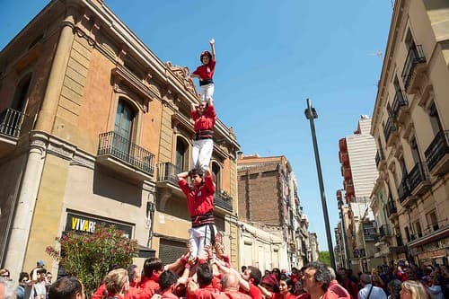 Josep Sala (@tomas.cajueiro)-50