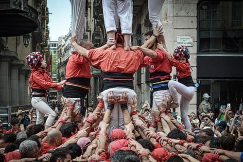 DSC_0067