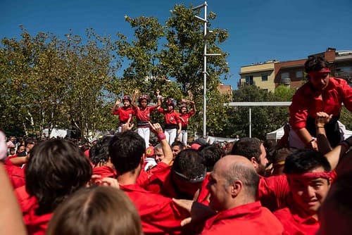 FM Horta 2026  (@tomas.cajueiro)-25